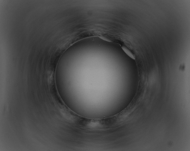 X0000091450177200708301817
