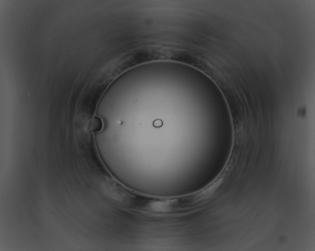 X0000091450178200708301817
