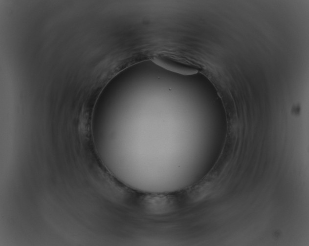 X0000091450181200708301817