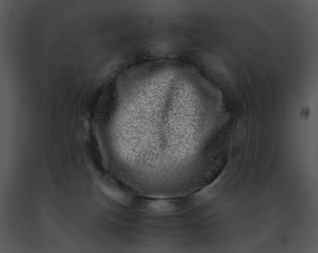 X0000091450183200708301817
