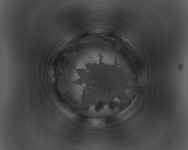 X0000091450187200708301818