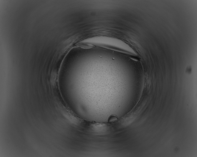 X0000091450189200708301818