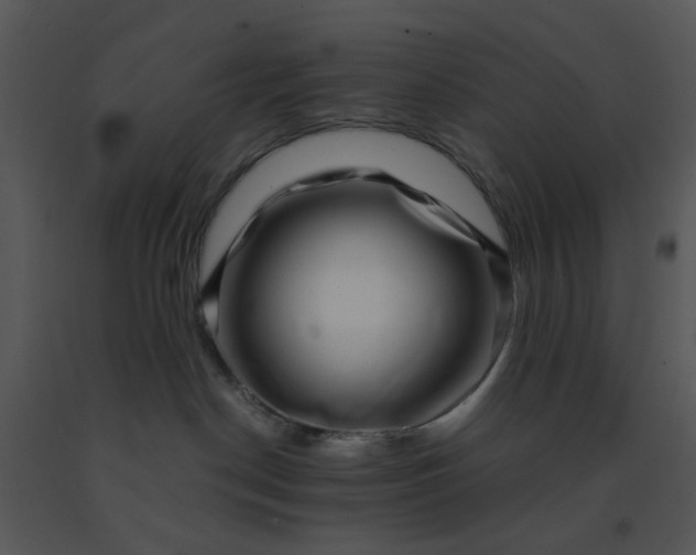 X0000091450190200708301818