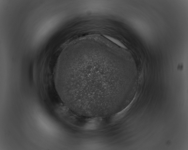 X0000091450191200708301818