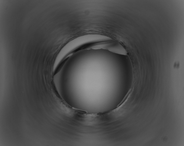 X0000091450192200708301818