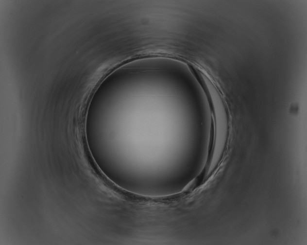 X0000091450193200708301817