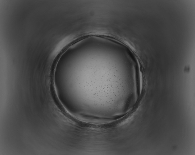 X0000091450199200708301817