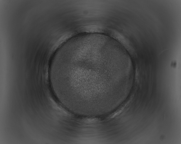 X0000091450202200708301817