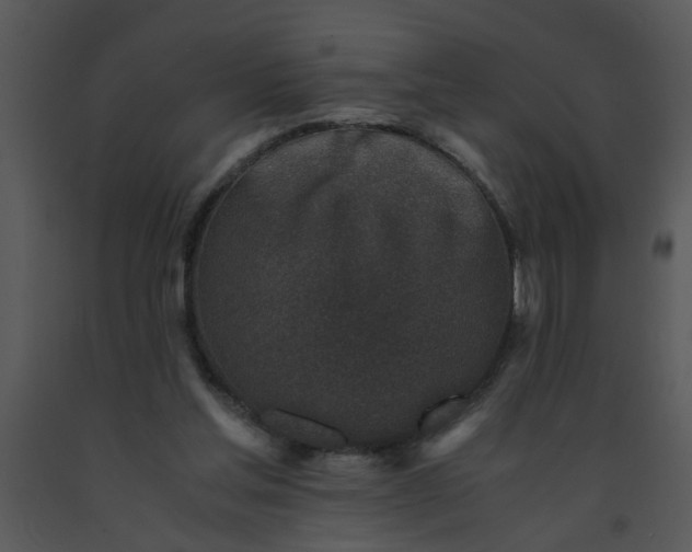 X0000091450205200708301817