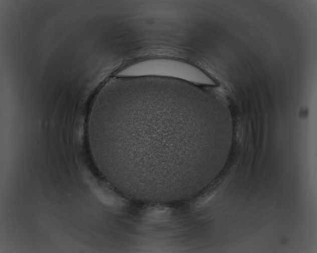 X0000091450206200708301817