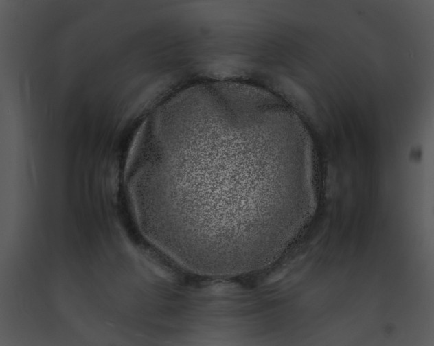 X0000091450210200708301817