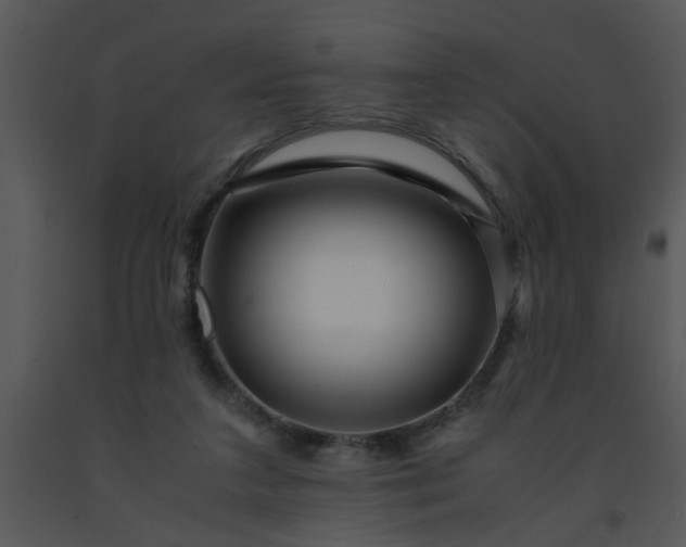 X0000091450211200708301817