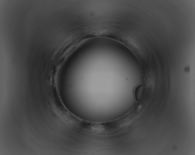 X0000091450214200708301817