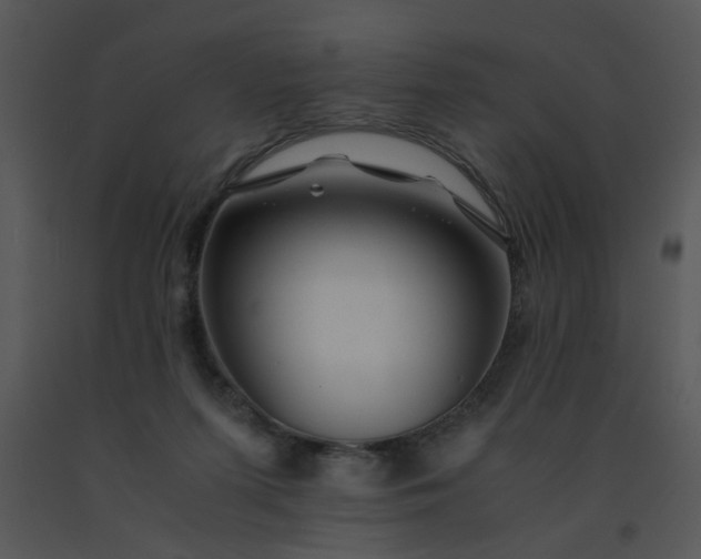 X0000091450215200708301817