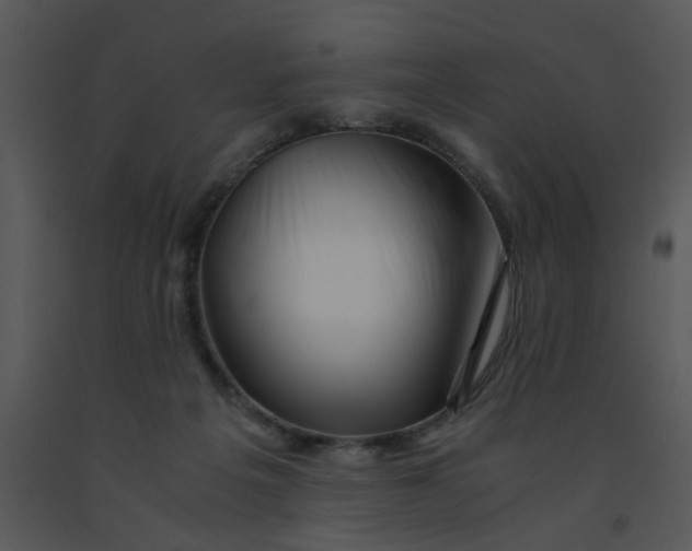 X0000091450217200708301816