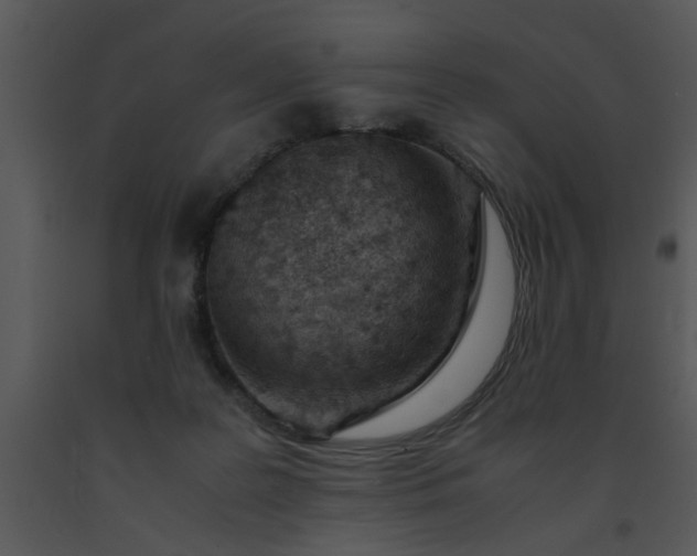 X0000091450219200708301816