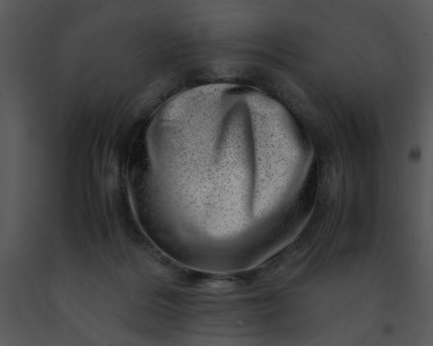 X0000091450220200708301816