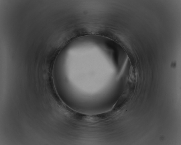 X0000091450221200708301816