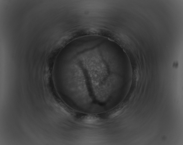 X0000091450223200708301816