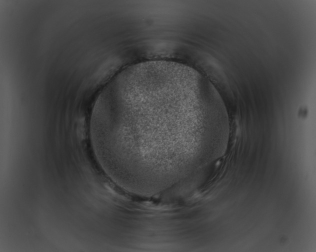 X0000091450224200708301816