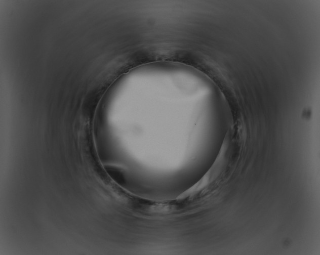 X0000091450225200708301816