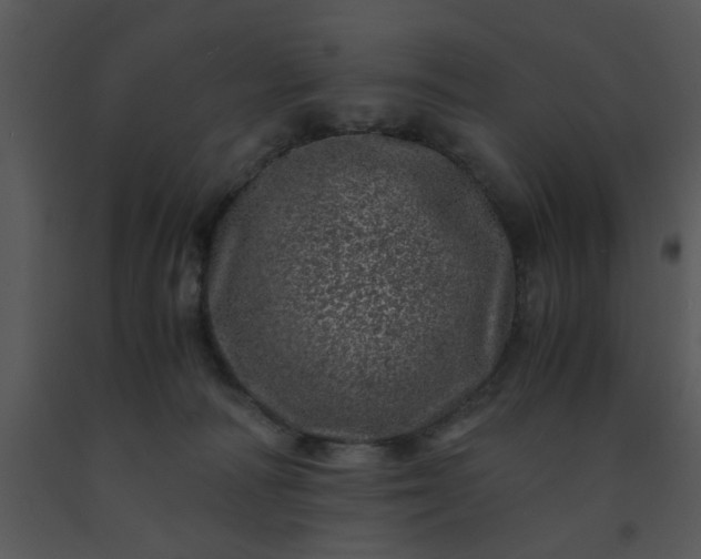 X0000091450226200708301816