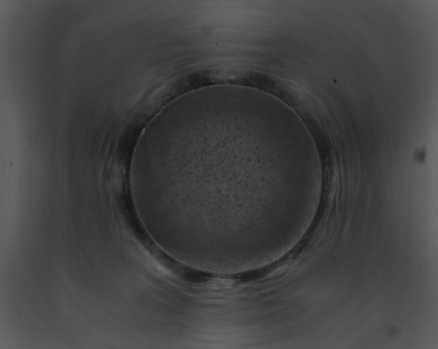 X0000091450227200708301816