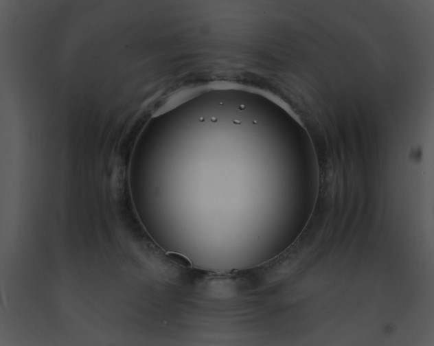 X0000091450228200708301816