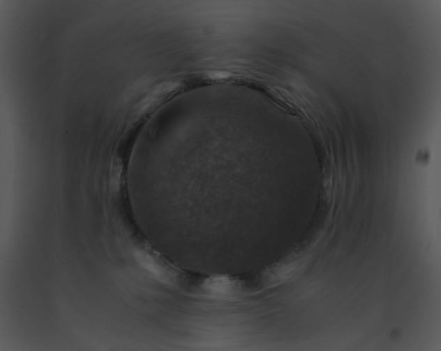 X0000091450231200708301816