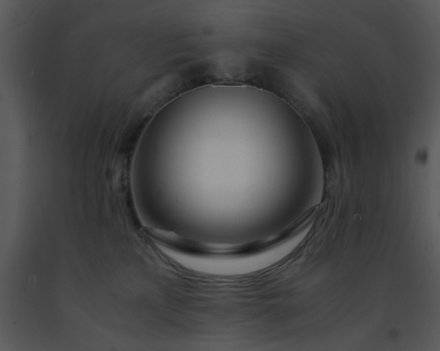 X0000091450233200708301816