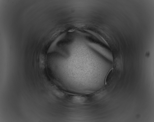 X0000091450234200708301816