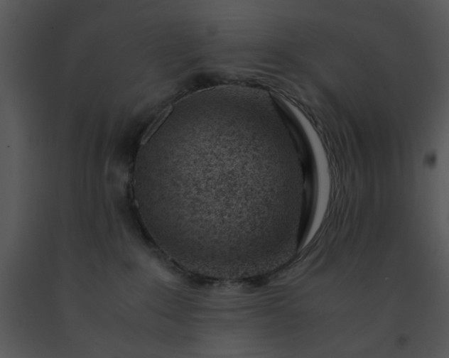 X0000091450235200708301816