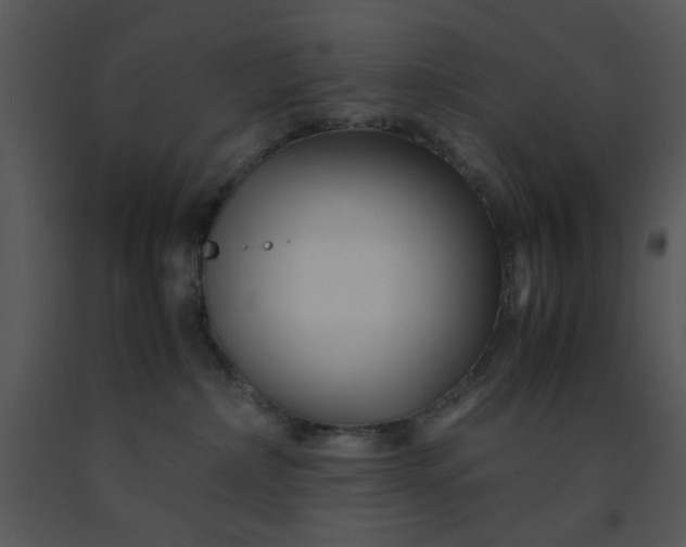 X0000091450236200708301816