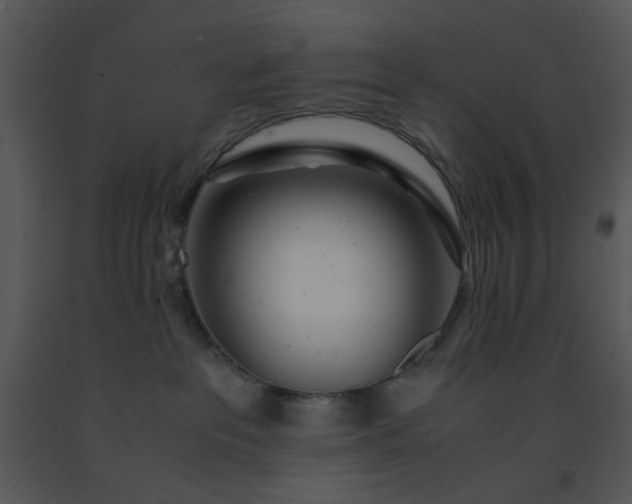 X0000091450237200708301816