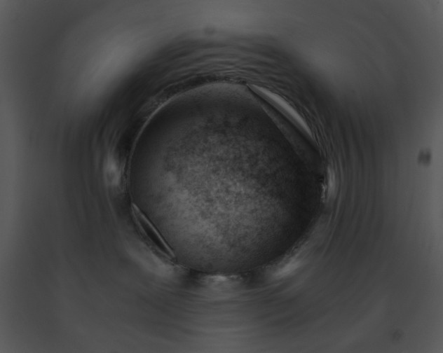 X0000091450239200708301816