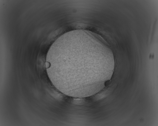 X0000091450240200708301816