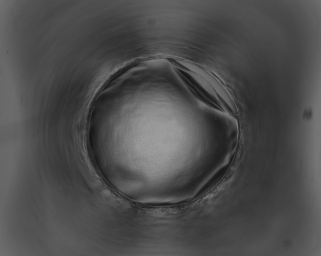 X0000091450241200708301816