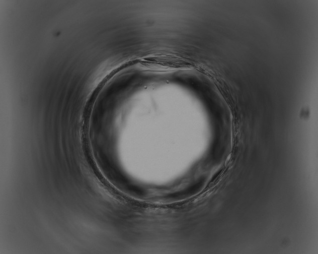 X0000091450242200708301816