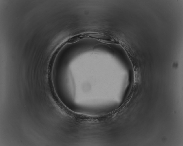 X0000091450243200708301816