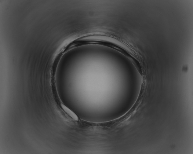 X0000091450244200708301816