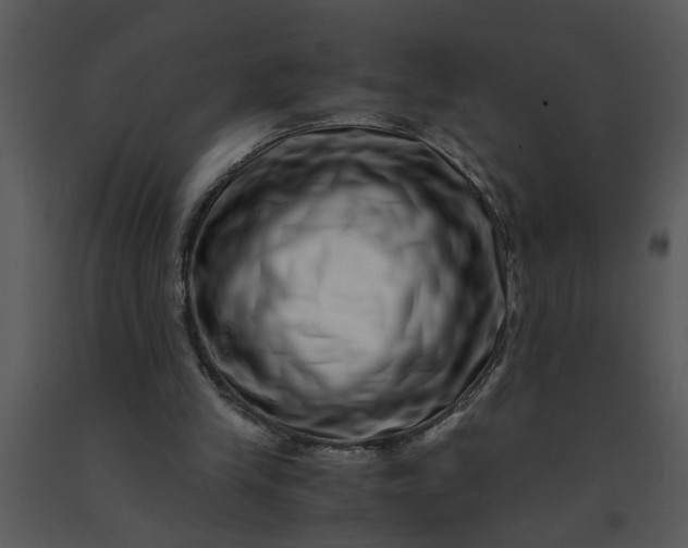 X0000091450245200708301816
