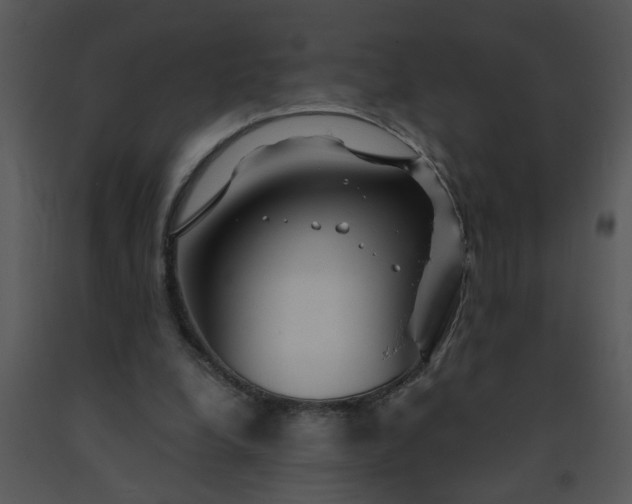 X0000091450248200708301816