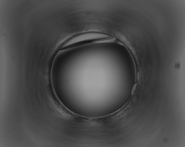 X0000091450249200708301816