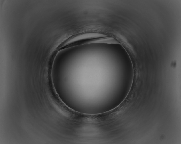X0000091450250200708301816