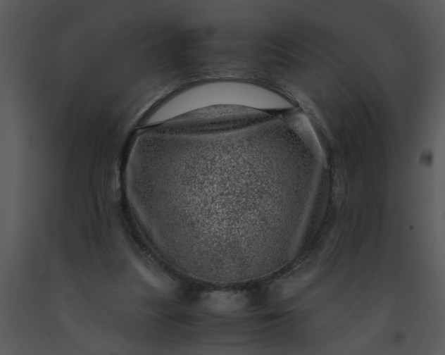 X0000091450251200708301816