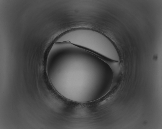 X0000091450252200708301816