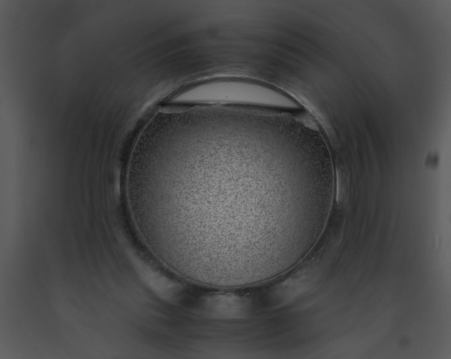 X0000091450253200708301816