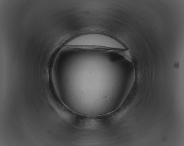 X0000091450254200708301816