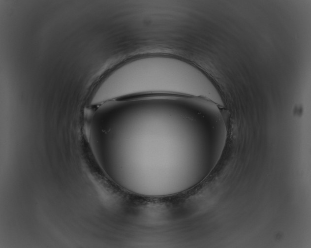 X0000091450256200708301816