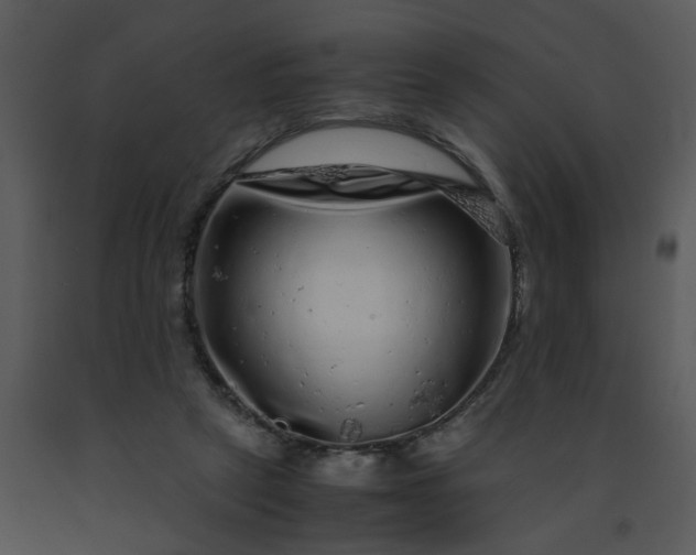 X0000091450257200708301816
